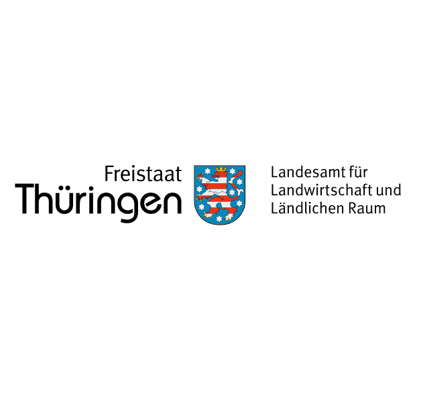 TLLLR_quadratisch